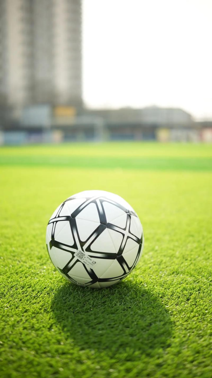 教练团队研究对手战术